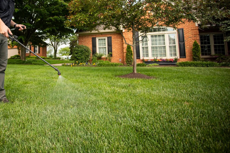 fertilizing lawn