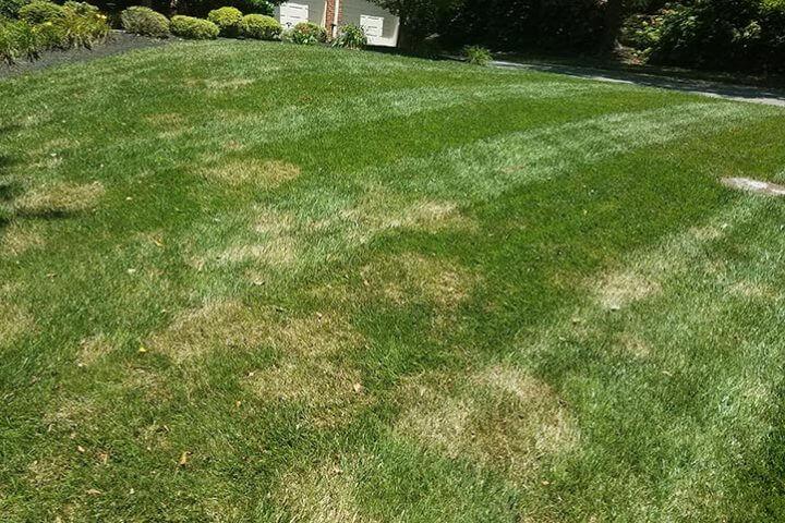 dead spots