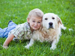 3 Mosquito control Richmond Lexington Kentucky Kids Dogs 300x225