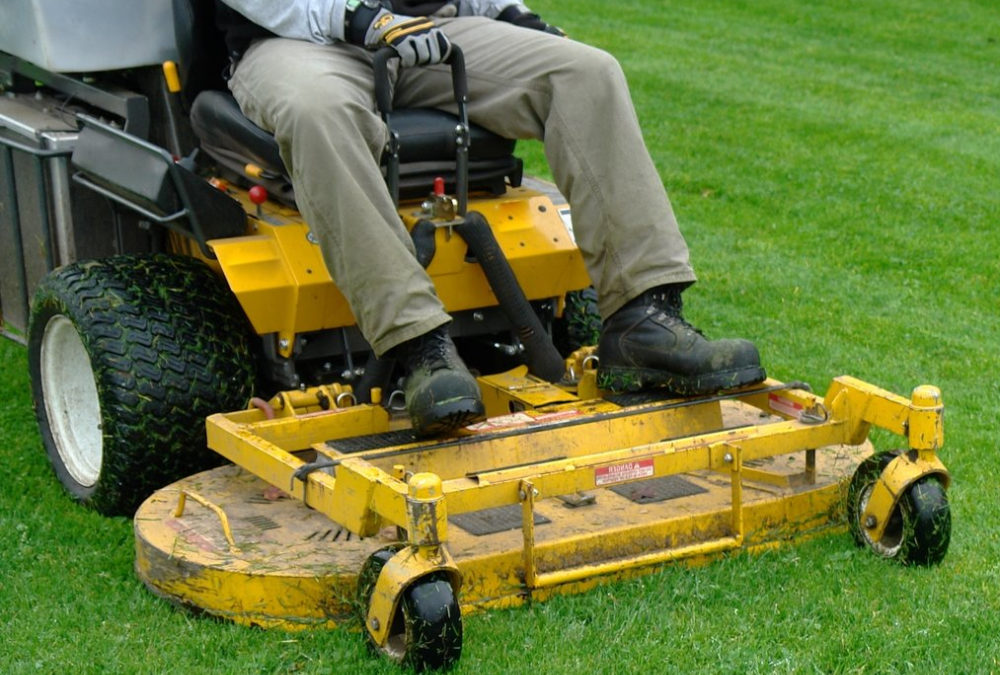 3 Ways a Professional Lawn Mower Can Help Improve the Condition of Your Lawn…