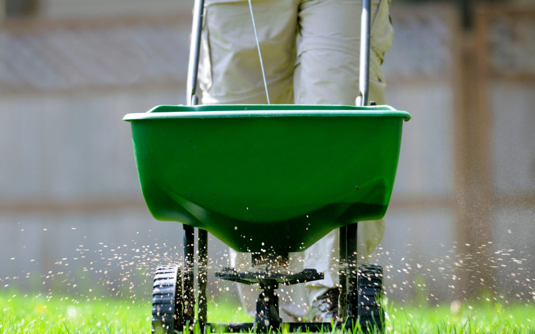What You Can Do In the Spring To Have a Full, Lush Lawn This Summer…