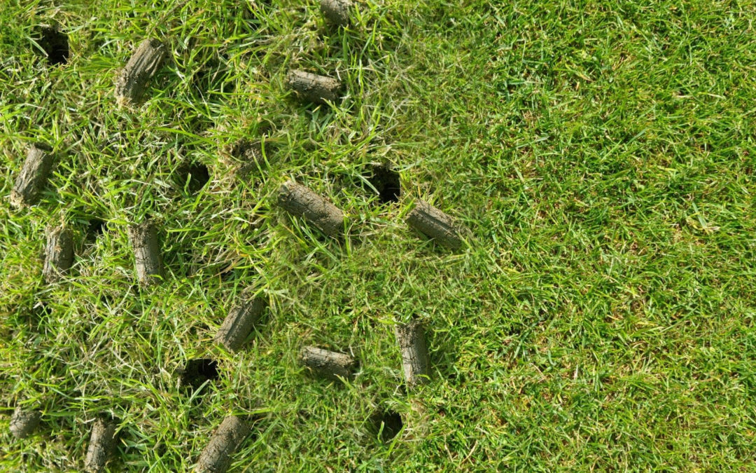 Lawn Care Tips – 9 Ways Your Lawn Can Benefit from Aeration…