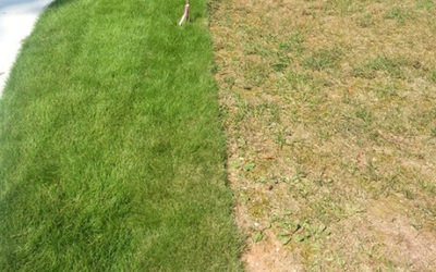 6 Ways to Make Sure Your Lawn Is As Nice as Your Neighbor’s Lawn…