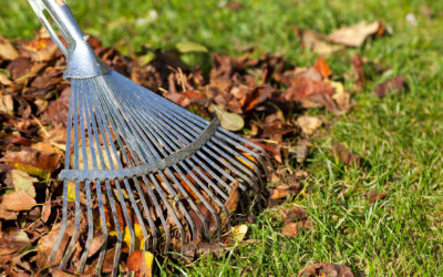 4 Tips For Caring For Your Lawn During the Non-Growing Season…