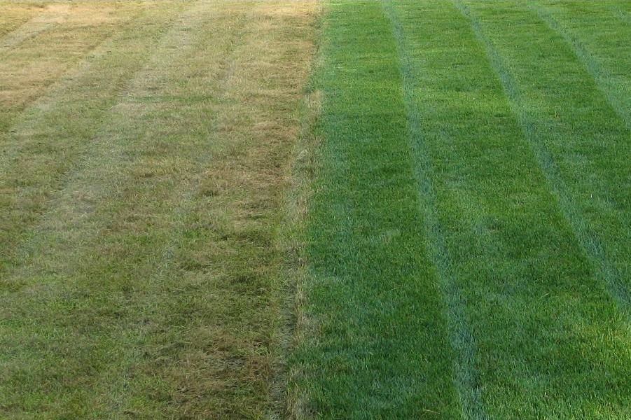 Aeration Is One of the Most Neglected Tasks in Lawn Care – View What Aerating And Overseeding Can Do For Your Lawn…