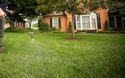 Why Spring Is The Time To Start Thinking About Fertilizing The Lawn…