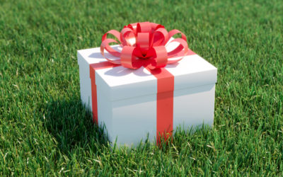How About Lawn Care As A Gift This Holiday Season?