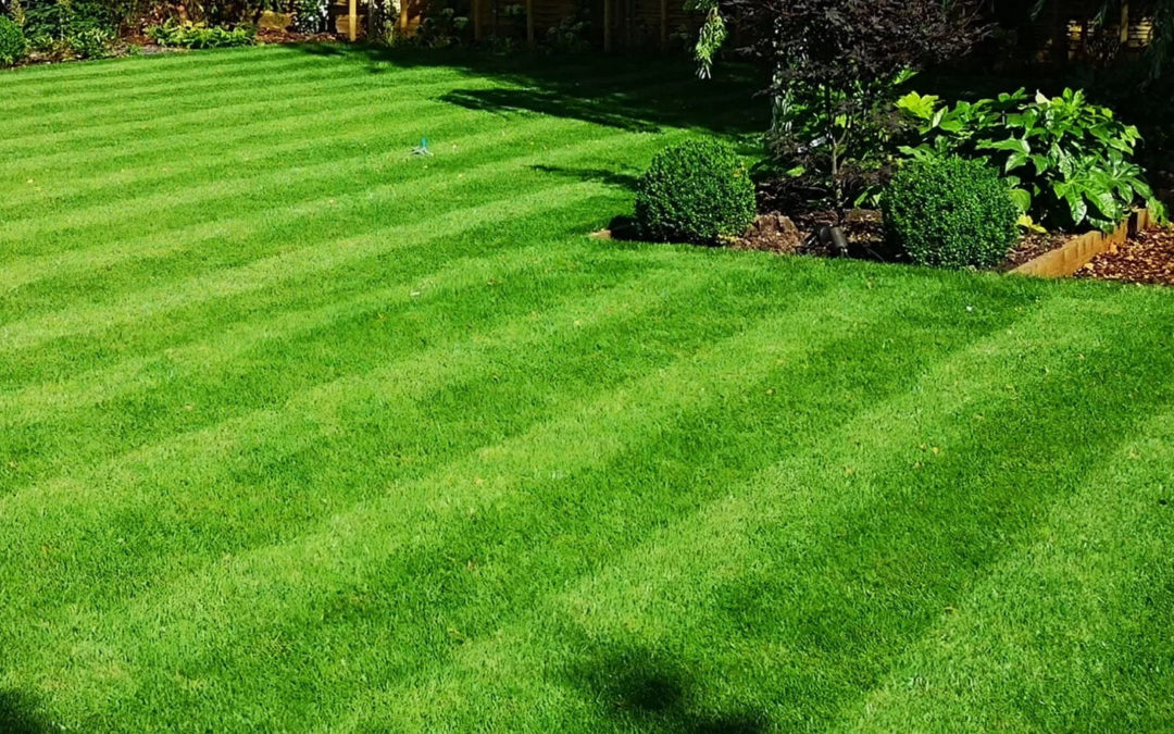 How To Keep Your Grass Healthy All Year Long and Green in the Summer…