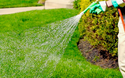 The 10 Benefits of Having a Professional Weed Control and Fertilization Service Manage Your Lawn…