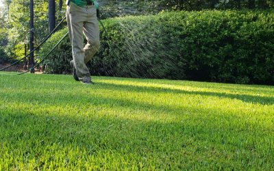 10 Reasons You Should Use a Professional Weed Control Service for Your Lawn…